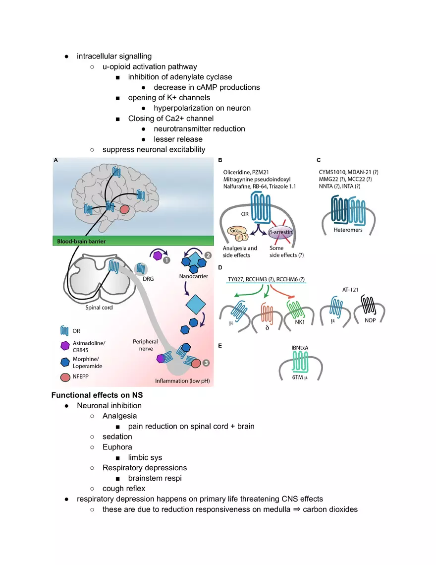 Fentanyl Effects - Page 5