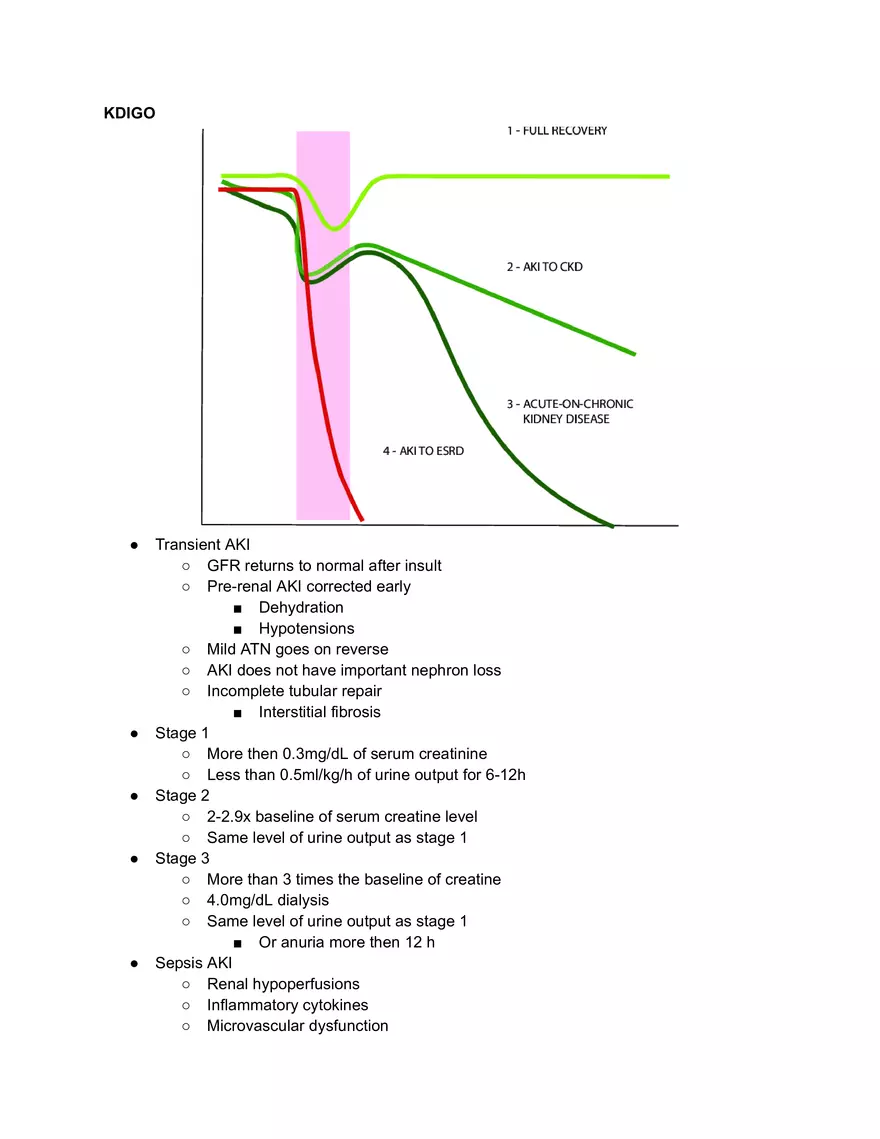 KDIGO - Lecture Note - Page 1
