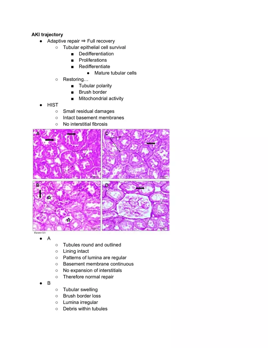 AKI Trajectory - Page 1