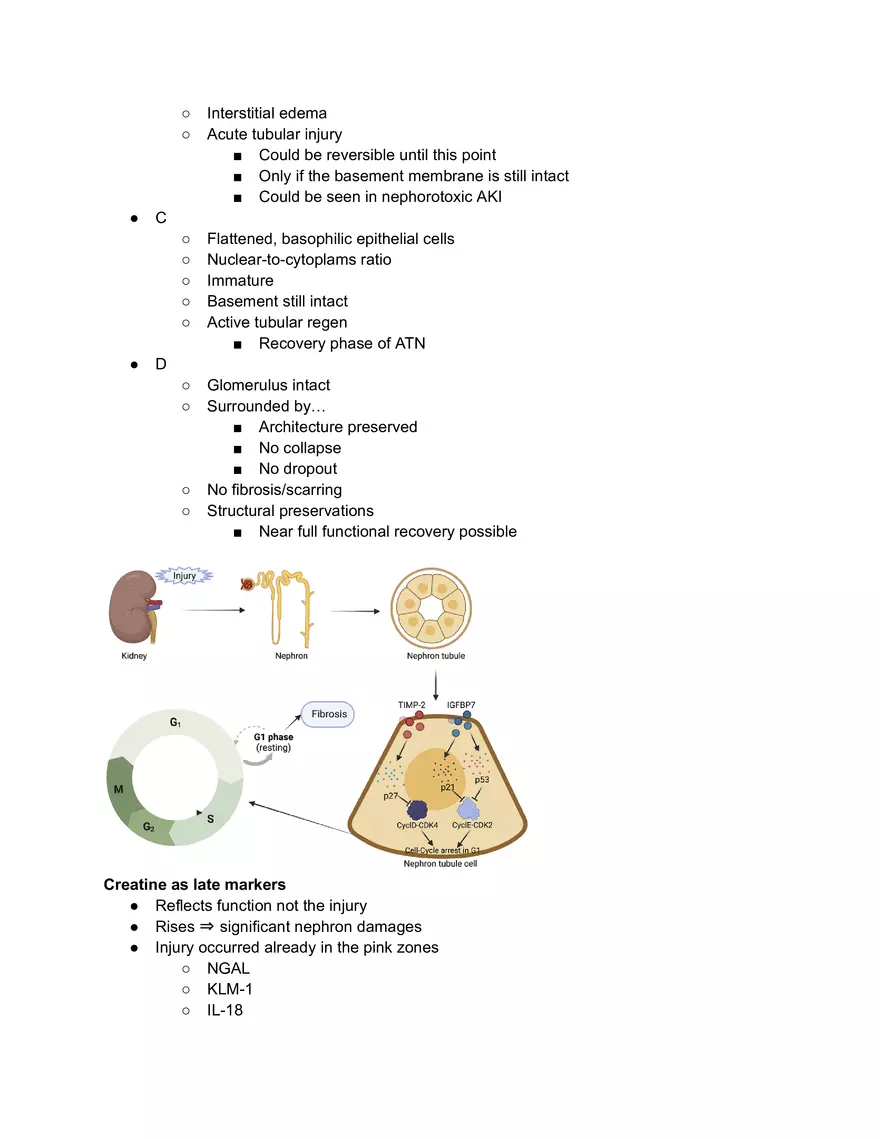 AKI Trajectory - Page 2