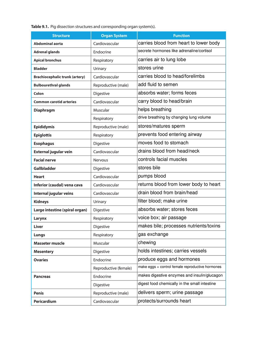 Assignment #5 Dissection Structures - Page 1