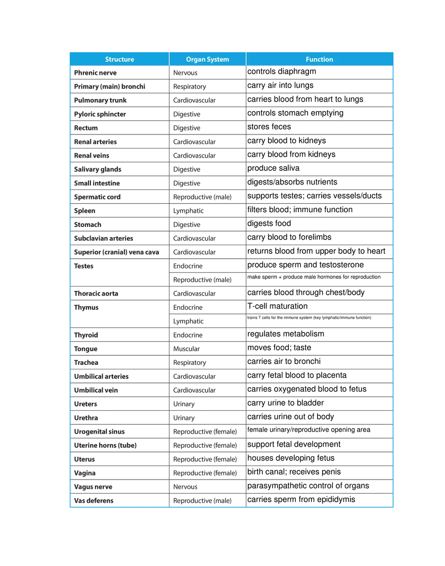 Assignment #5 Dissection Structures - Page 2