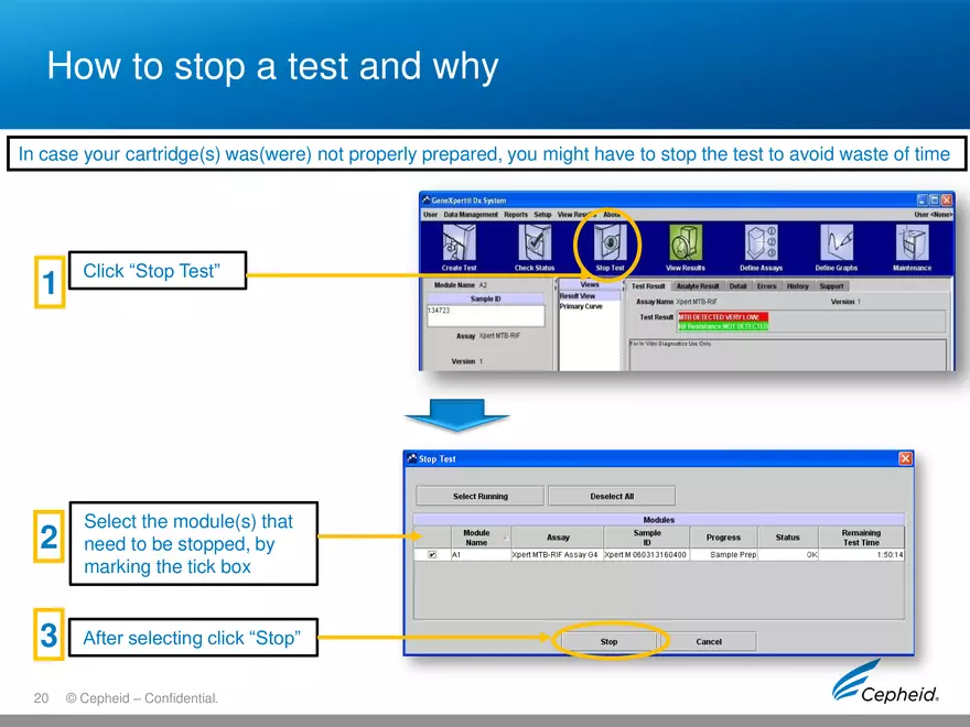 Gene Expert Software - Page 12