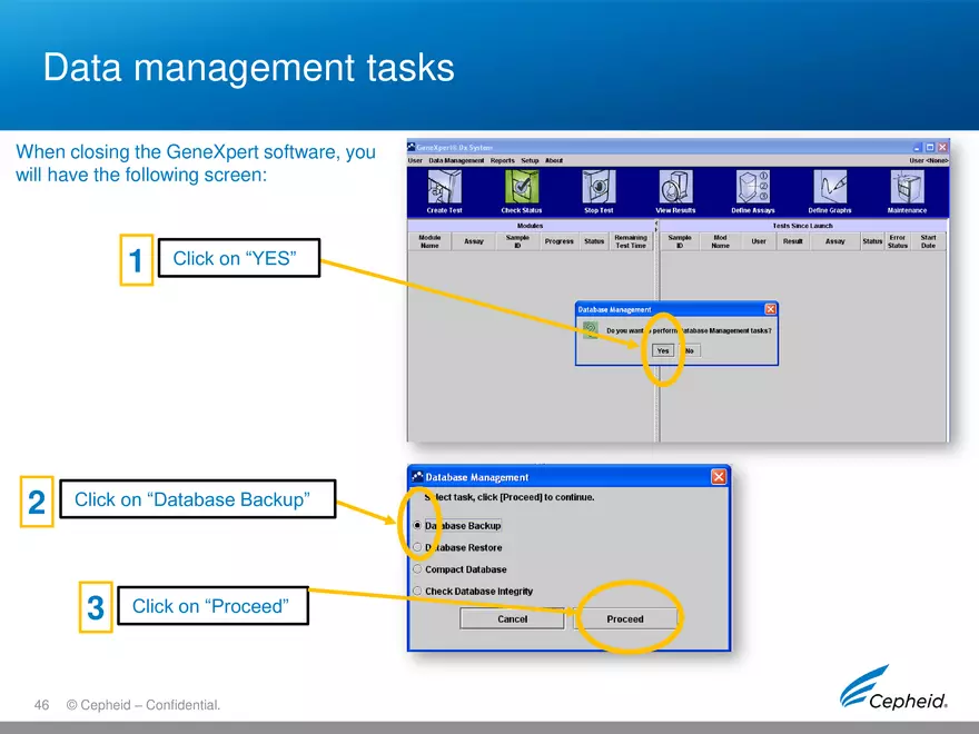 Gene Expert Software - Page 41