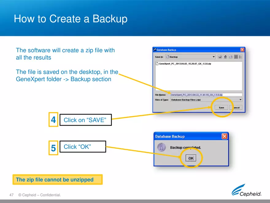 Gene Expert Software - Page 42