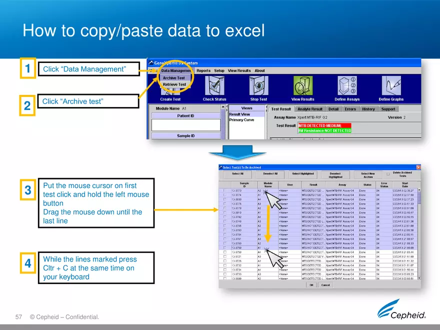 Gene Expert Software - Page 53