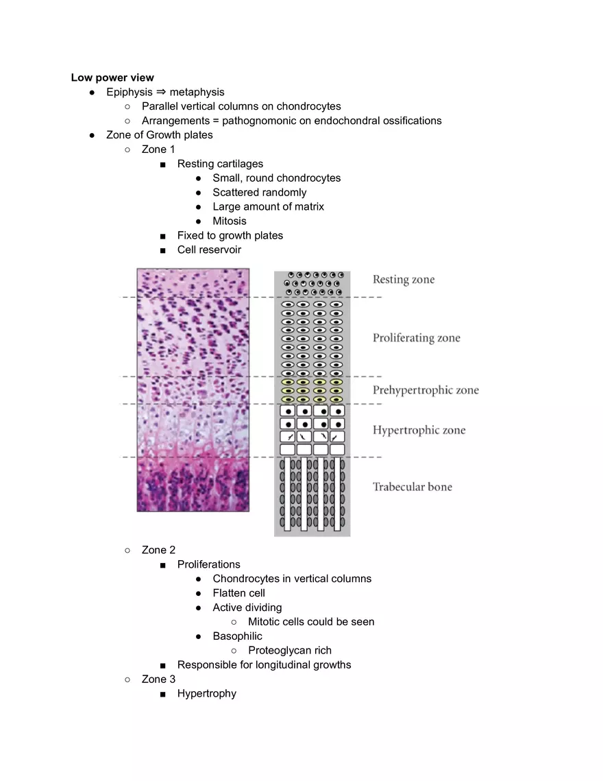 Bony Transision - Page 1