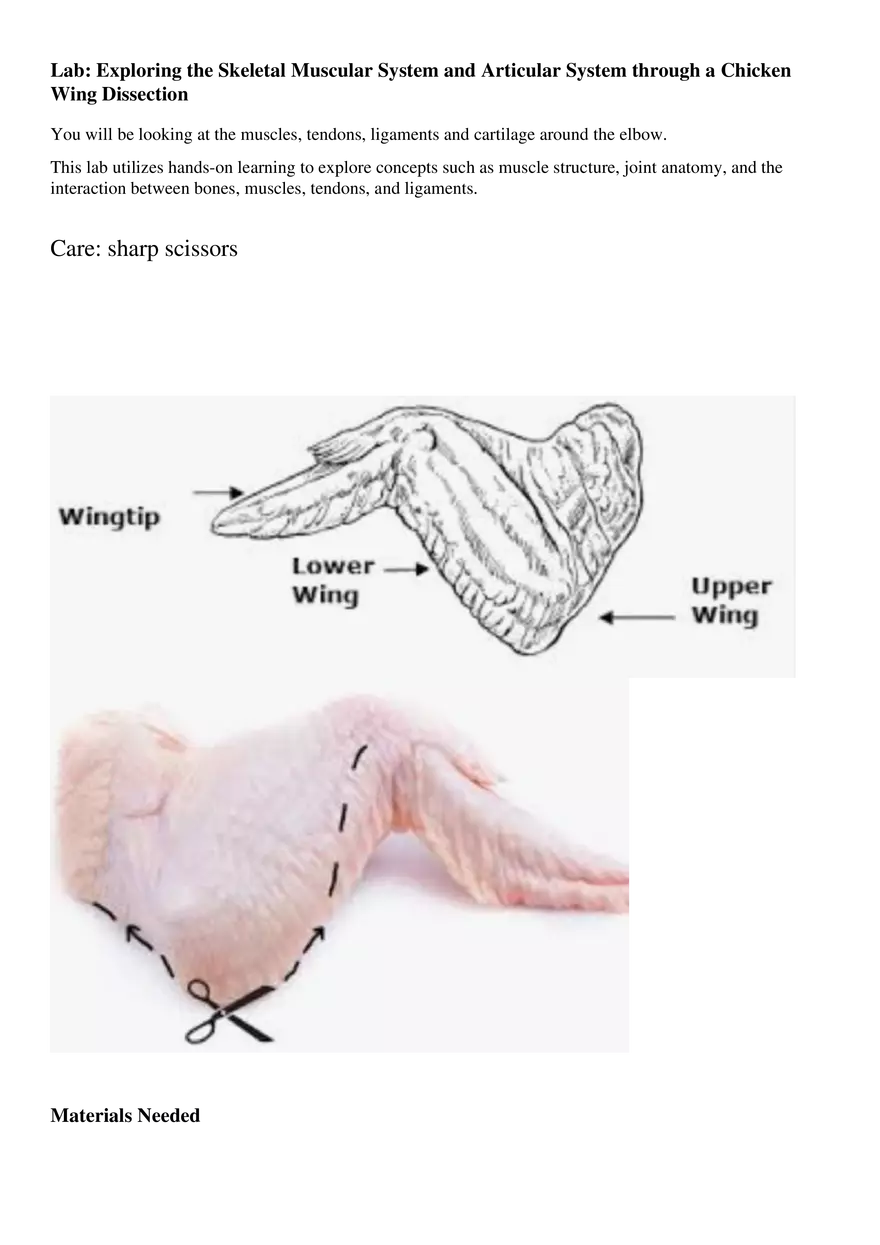 Lab 2: Chicken Wing Dissection - Page 1