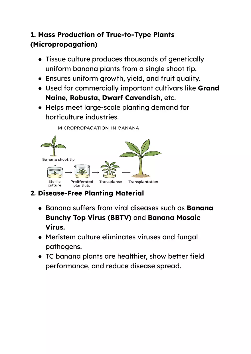 Production of Artificial Seeds - Page 7