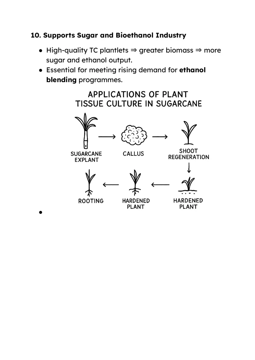 Production of Artificial Seeds - Page 14