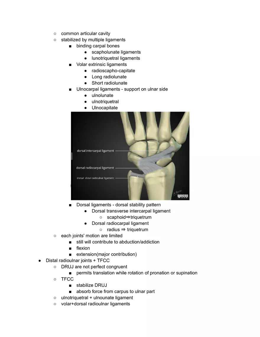Osteocology on Wrist - Page 2