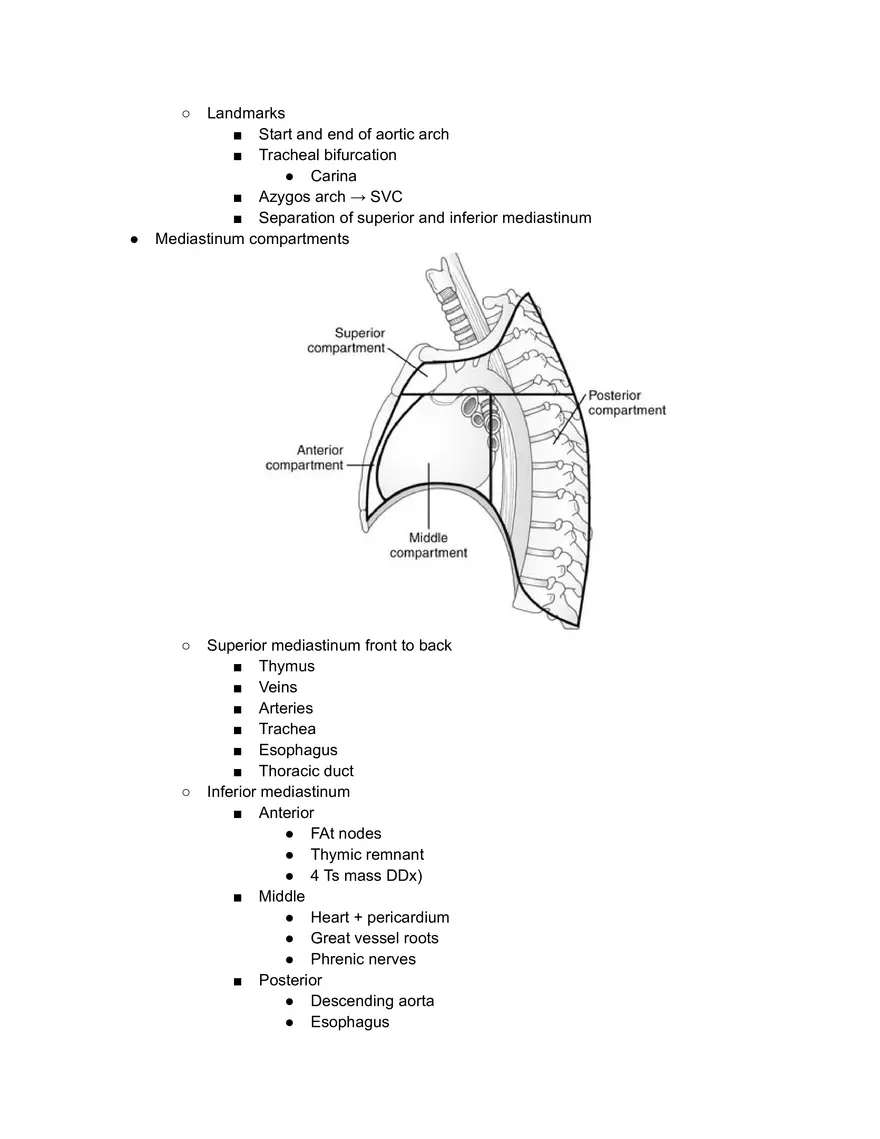 Thorax Cheatsheet - Page 2