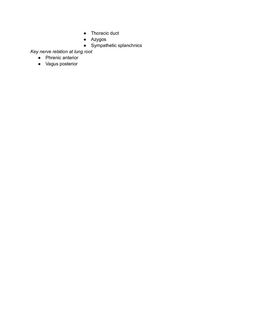 Thorax Cheatsheet - Page 3