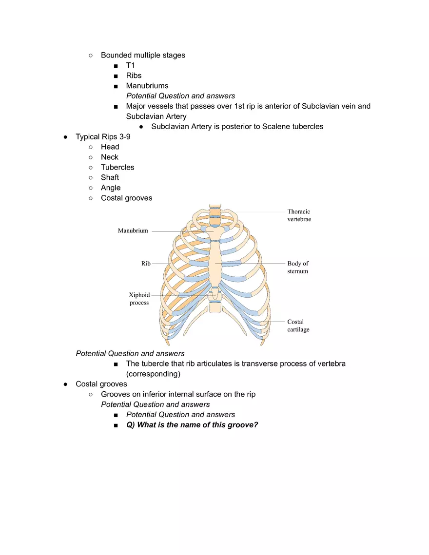 Surface Anatomy Osteology - Page 2