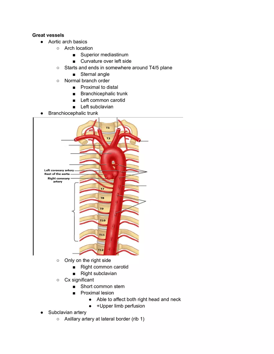 Superior Venacava and Branchiocephalic Trunk - Page 1