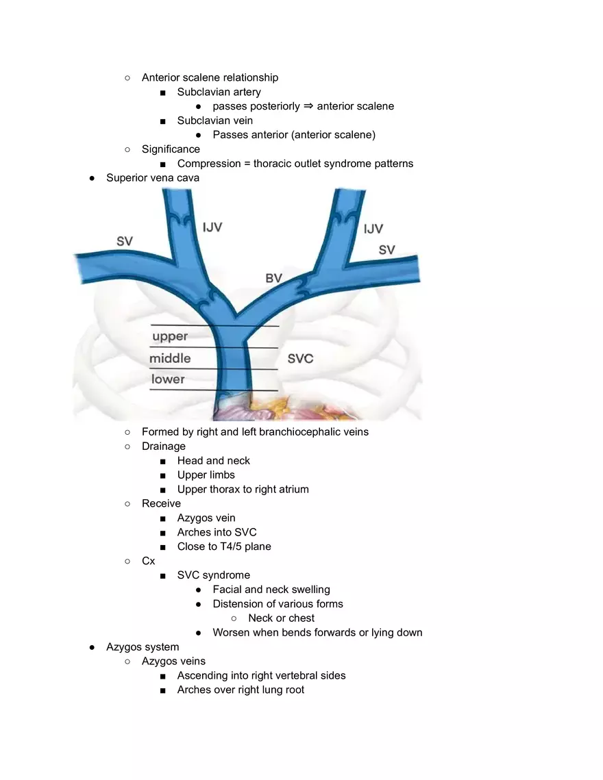 Superior Venacava and Branchiocephalic Trunk - Page 2