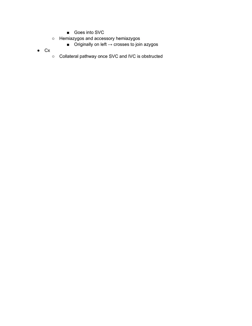 Superior Venacava and Branchiocephalic Trunk - Page 3
