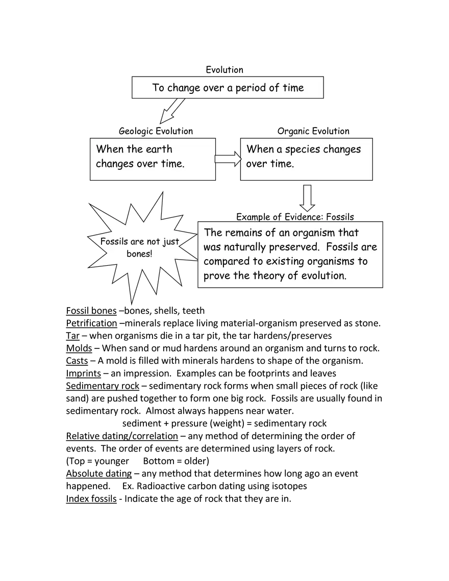 Evolution Review - Page 1