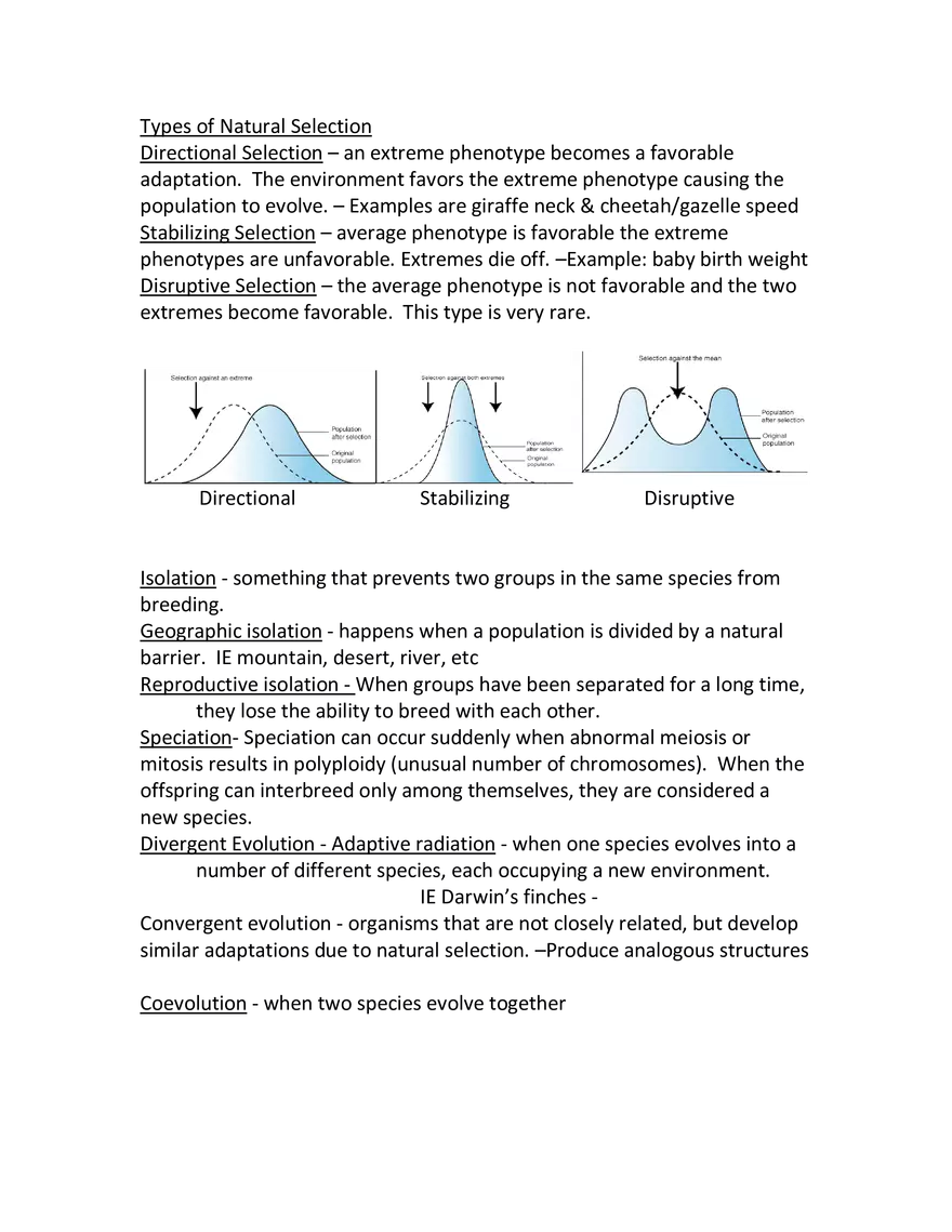 Evolution Review - Page 4