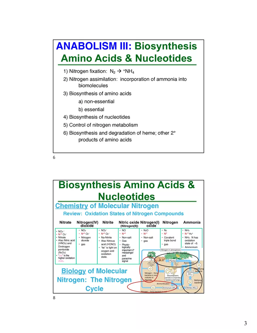 Anabolism III: Biosynthesis Amino Acids & Nucleotides - Page 3