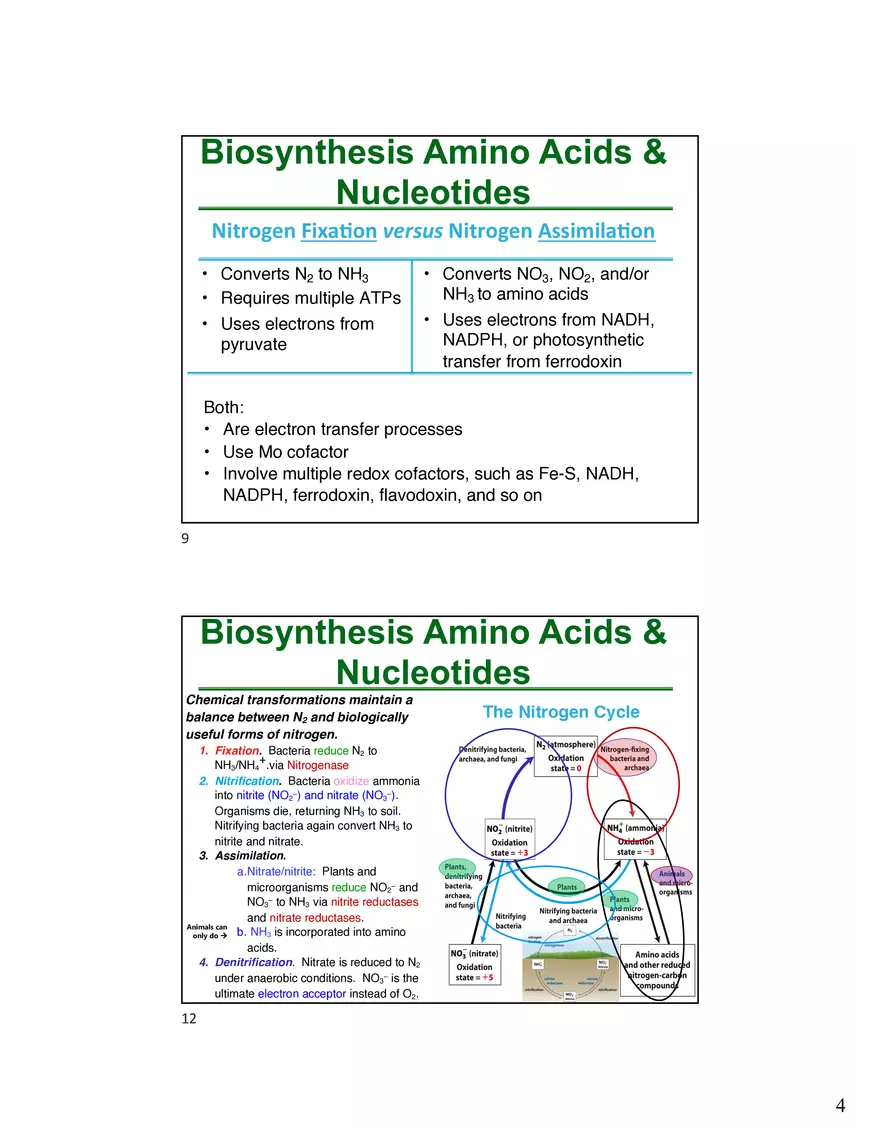 Anabolism III: Biosynthesis Amino Acids & Nucleotides - Page 4