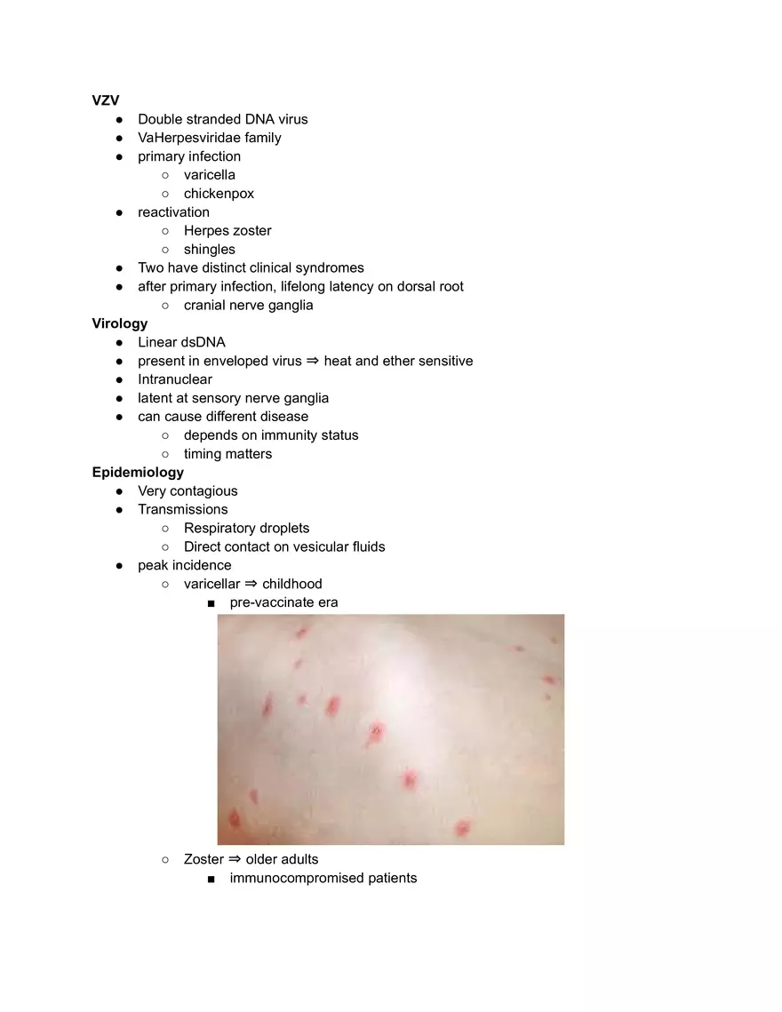 VZV Lecture Notes - Page 1