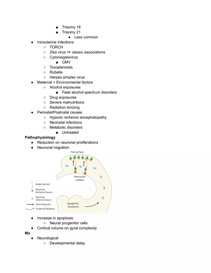 Microcephaly - Page 2
