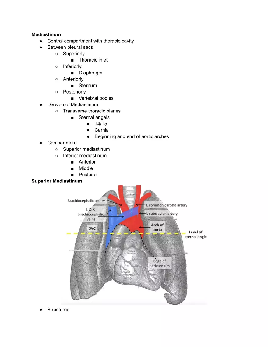 Mediastinum and Pericardiums - Page 1