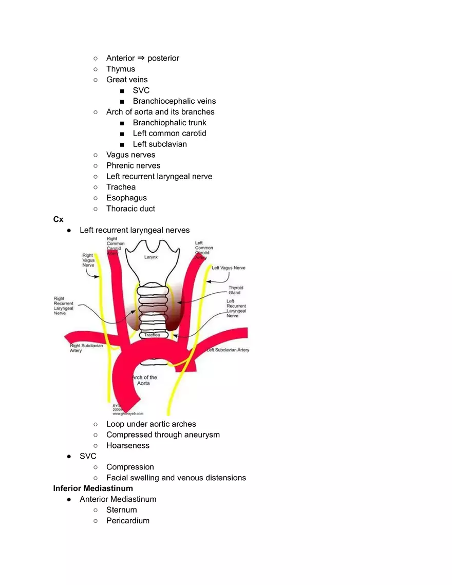 Mediastinum and Pericardiums - Page 2