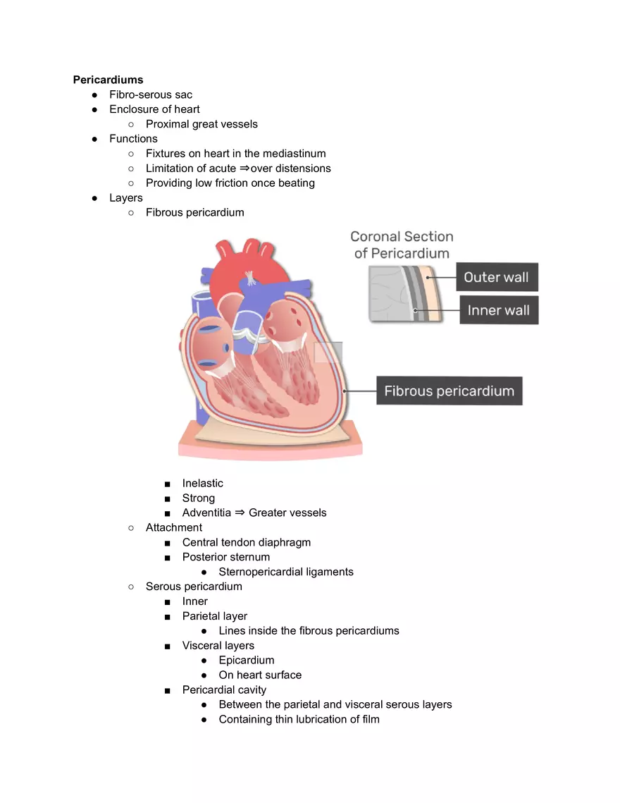 Mediastinum and Pericardiums - Page 4
