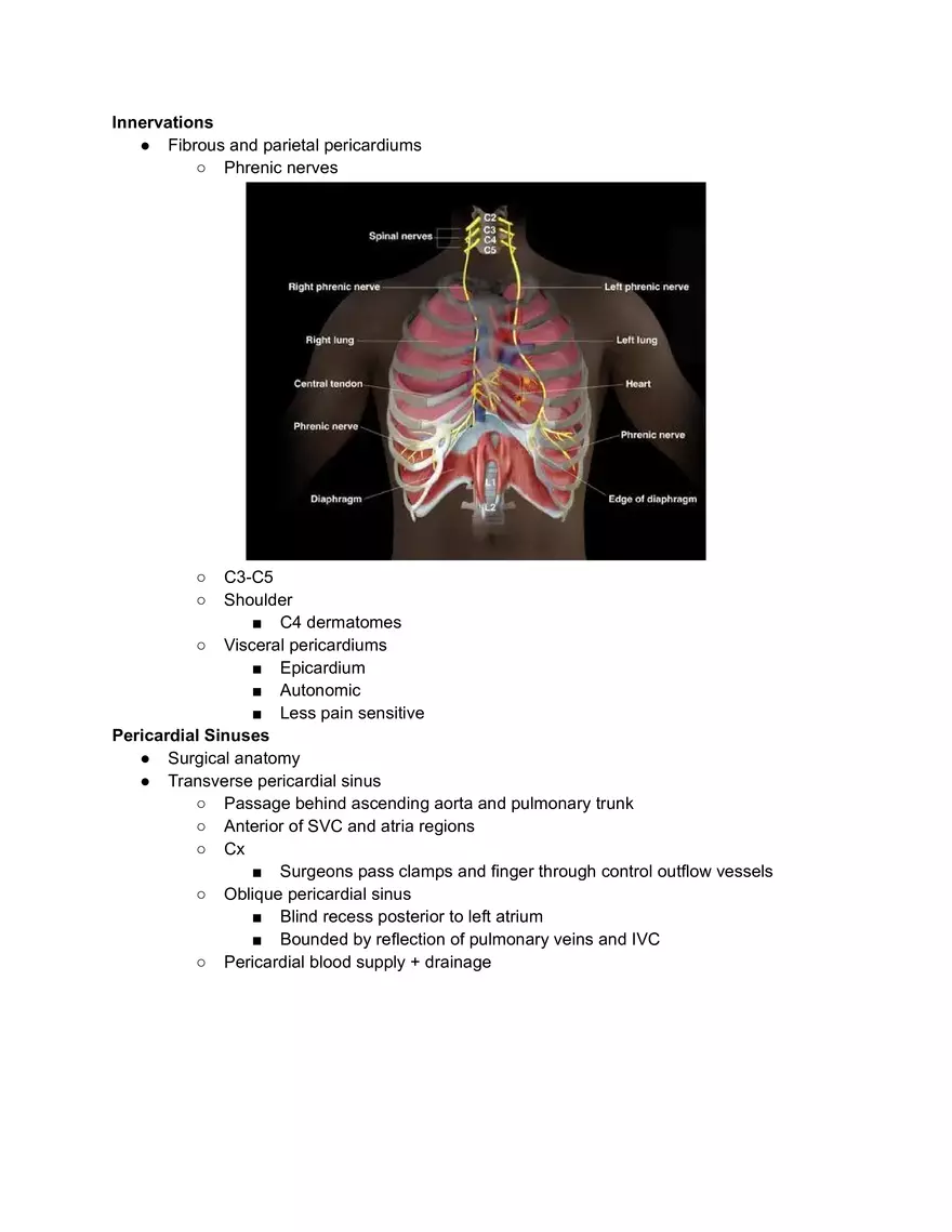 Mediastinum and Pericardiums - Page 5
