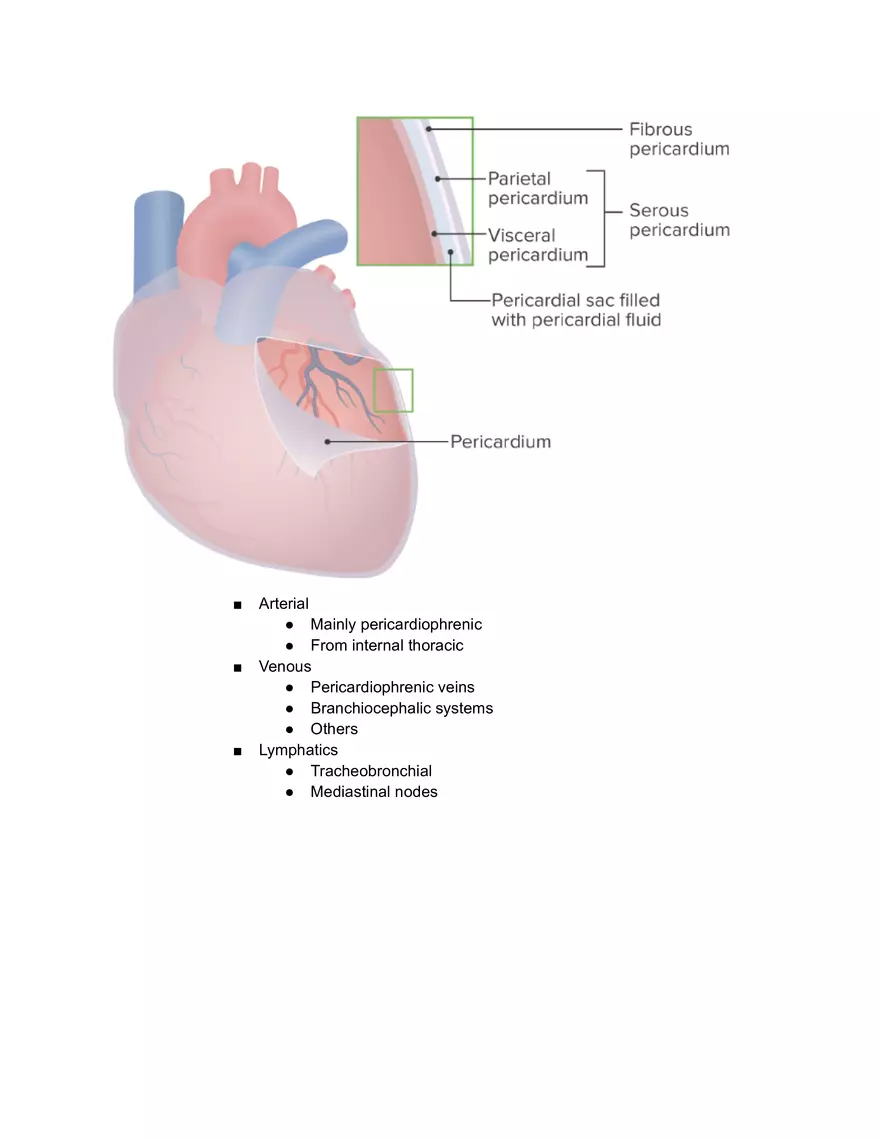 Mediastinum and Pericardiums - Page 6