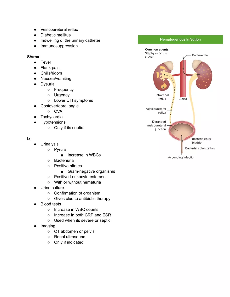 Pyelonephritis - Page 2