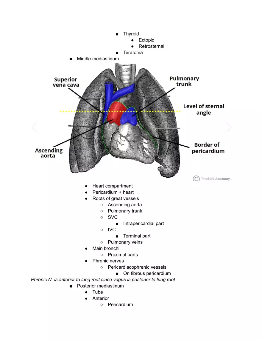 Meidastinum OSCE - Page 7