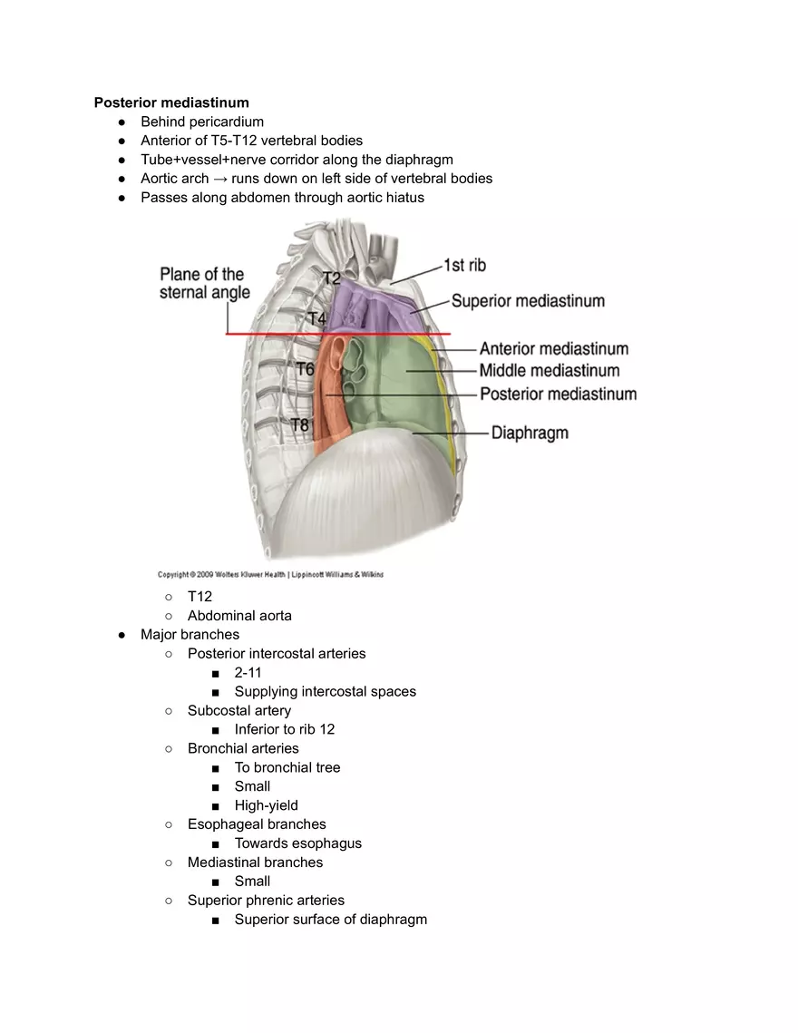 Meidastinum OSCE - Page 14