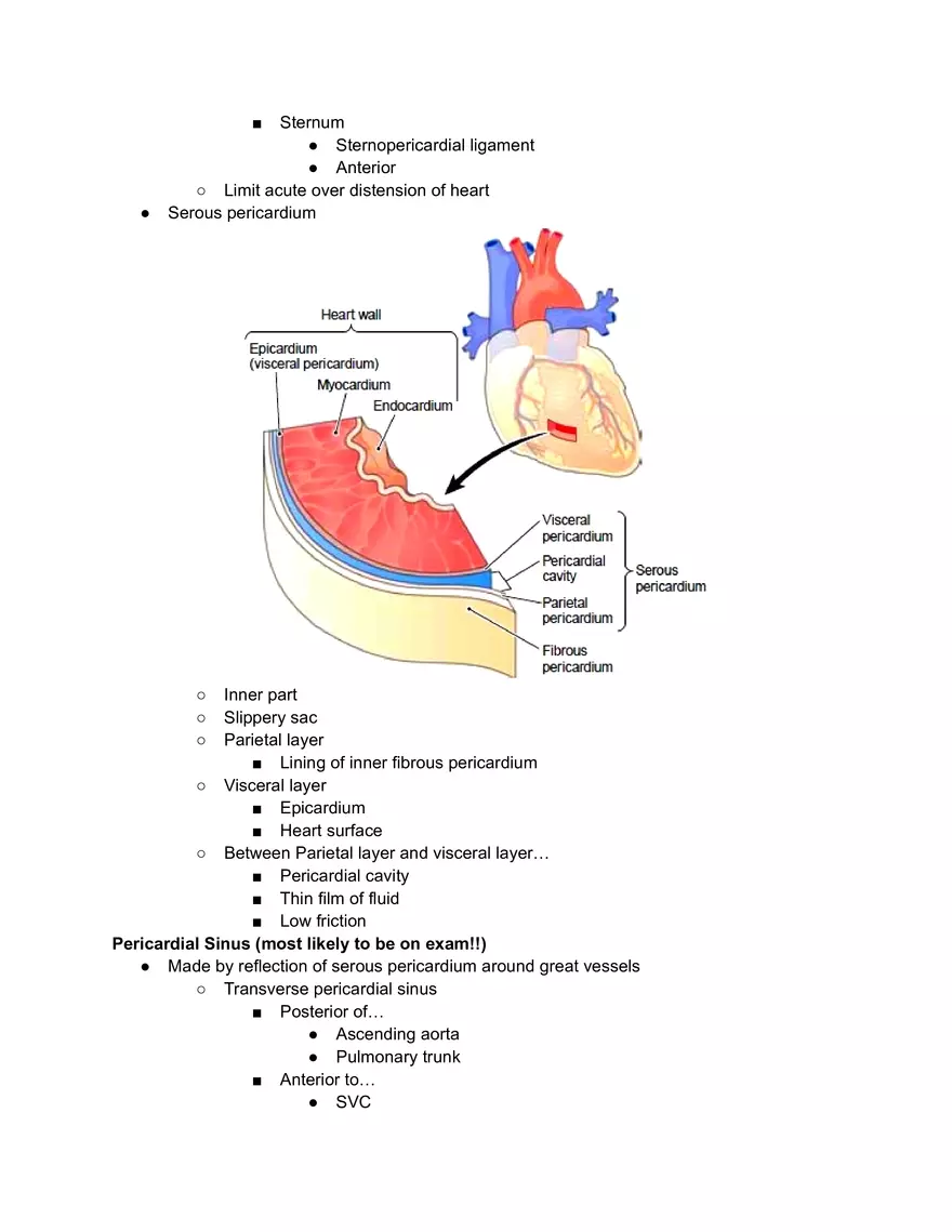 Meidastinum OSCE - Page 2