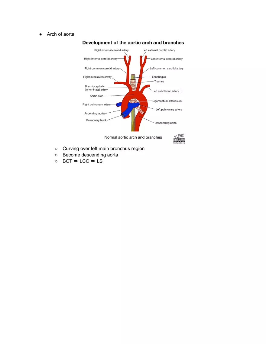 Meidastinum OSCE - Page 5
