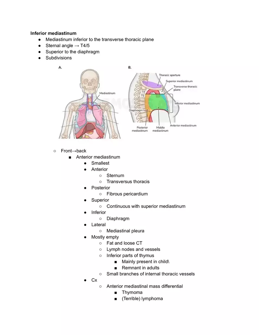 Meidastinum OSCE - Page 6