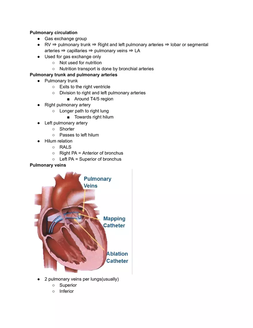 Pulmonary Circulation and Vasoconstriction - Page 4