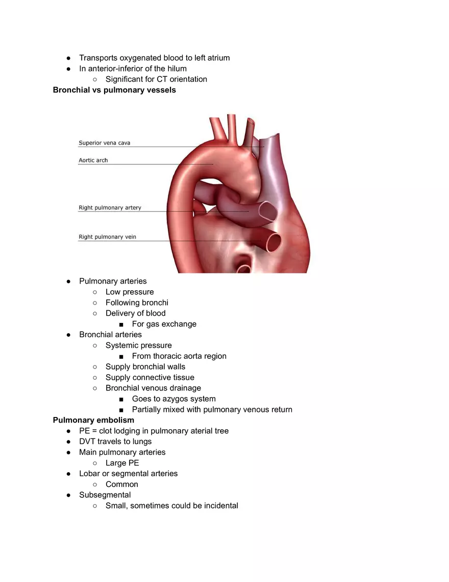 Pulmonary Circulation and Vasoconstriction - Page 5