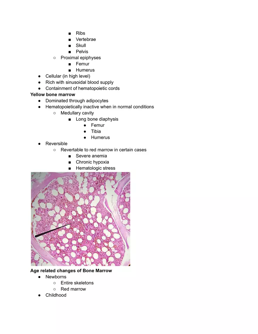 Bone Marrow - Page 2