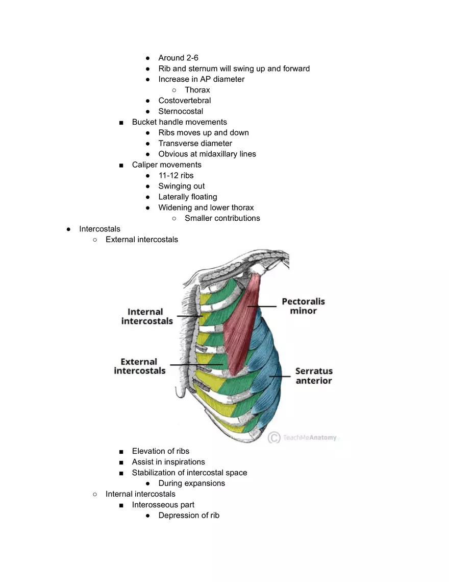 Mechanism on Respiration - Page 2