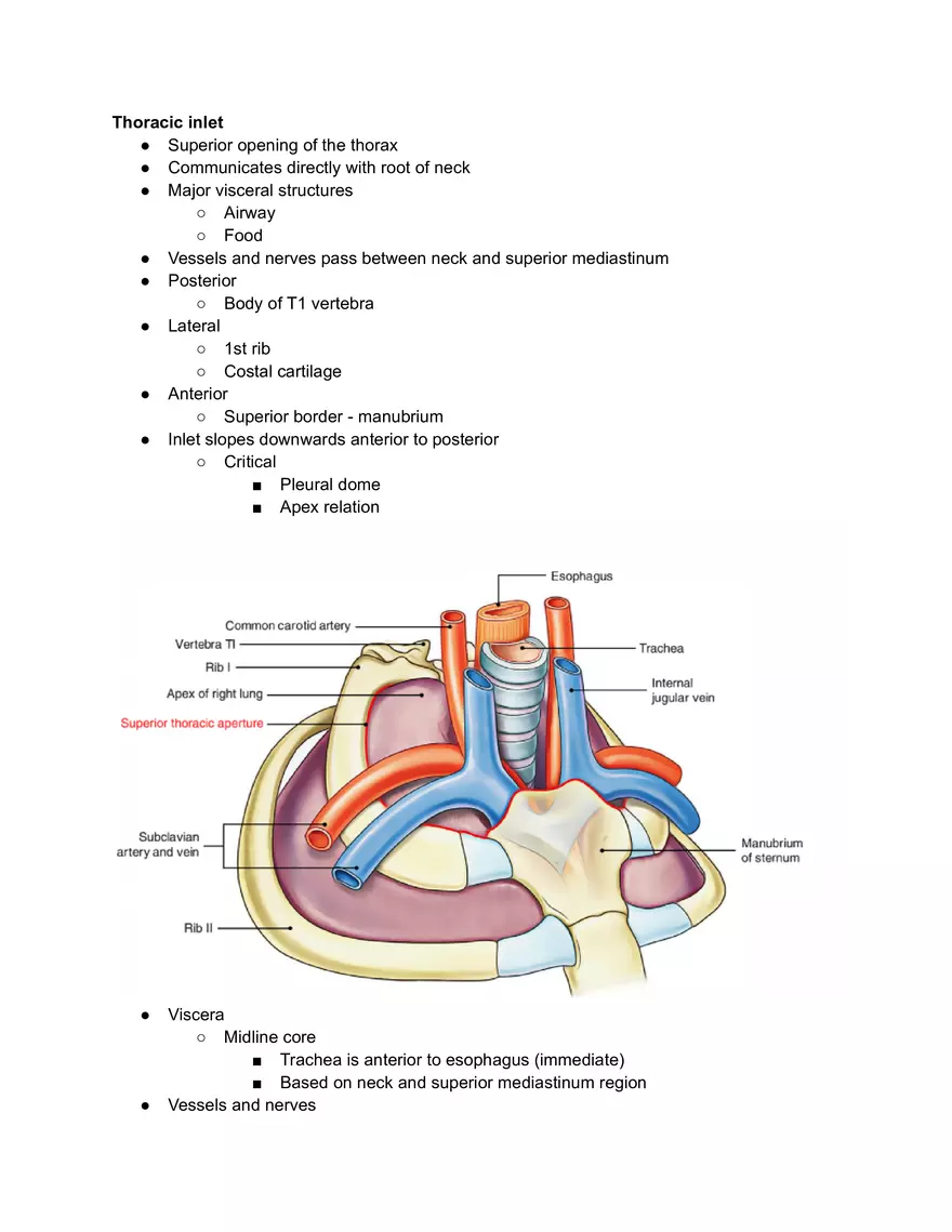 Ribs Sternum Thoracic Joins and Breathing movements - Page 9