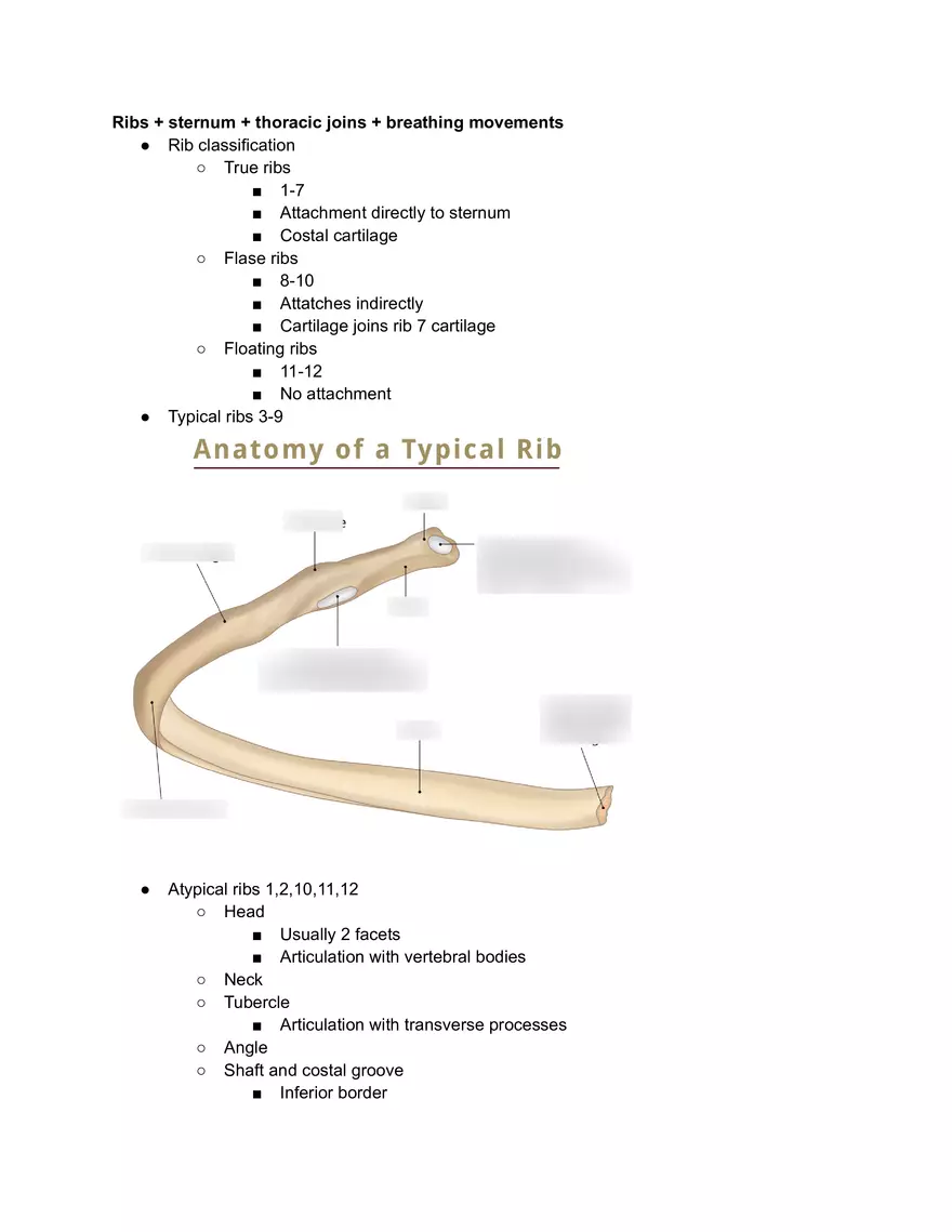 Ribs Sternum Thoracic Joins and Breathing movements - Page 1