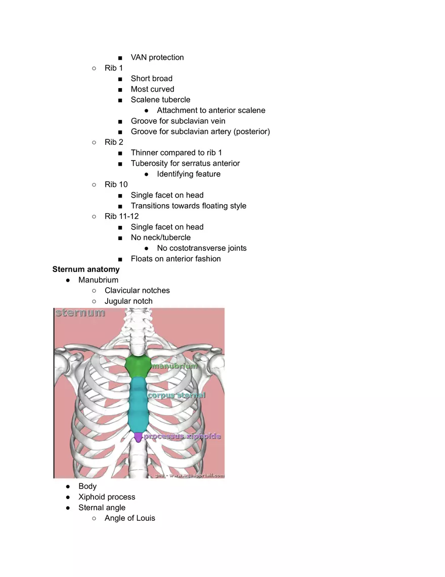 Ribs Sternum Thoracic Joins and Breathing movements - Page 2