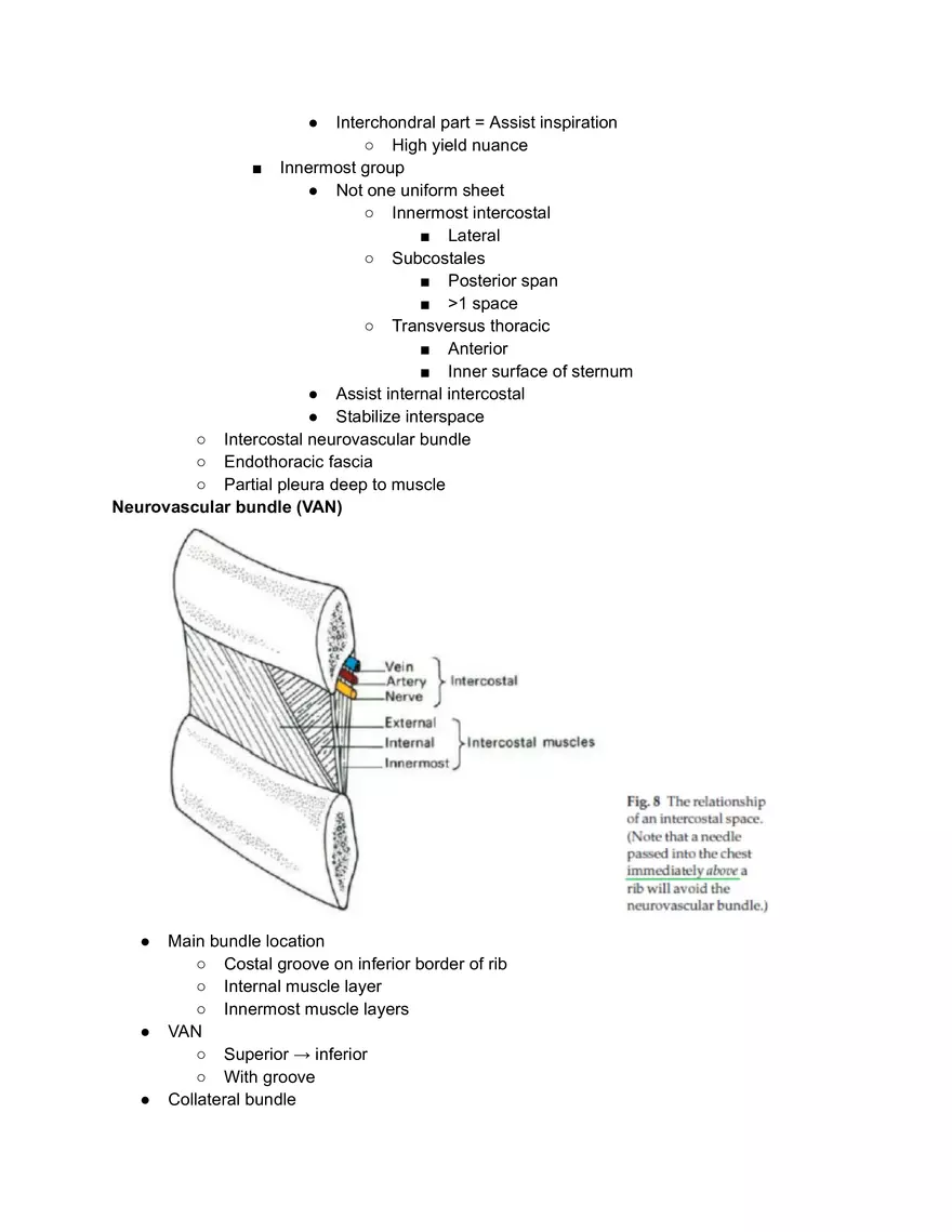 Ribs Sternum Thoracic Joins and Breathing movements - Page 3