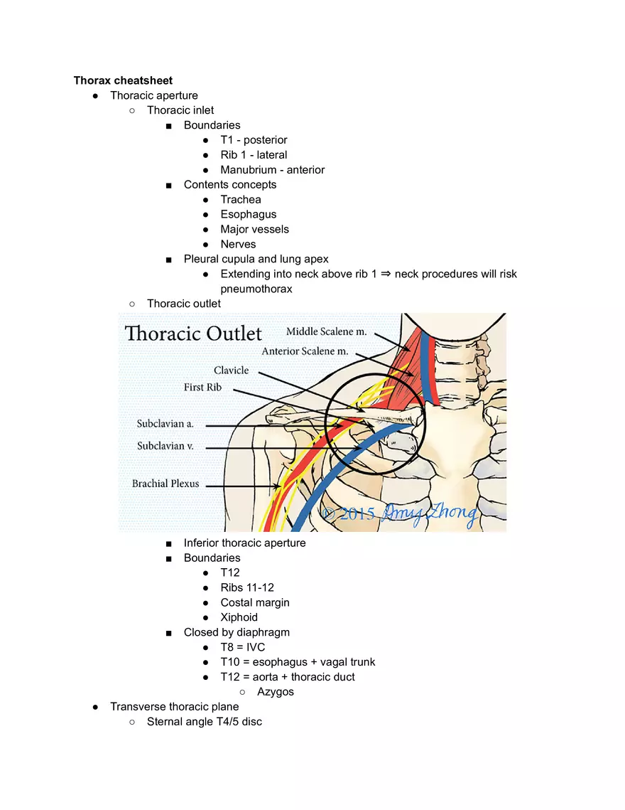 Ribs Sternum Thoracic Joins and Breathing movements - Page 5