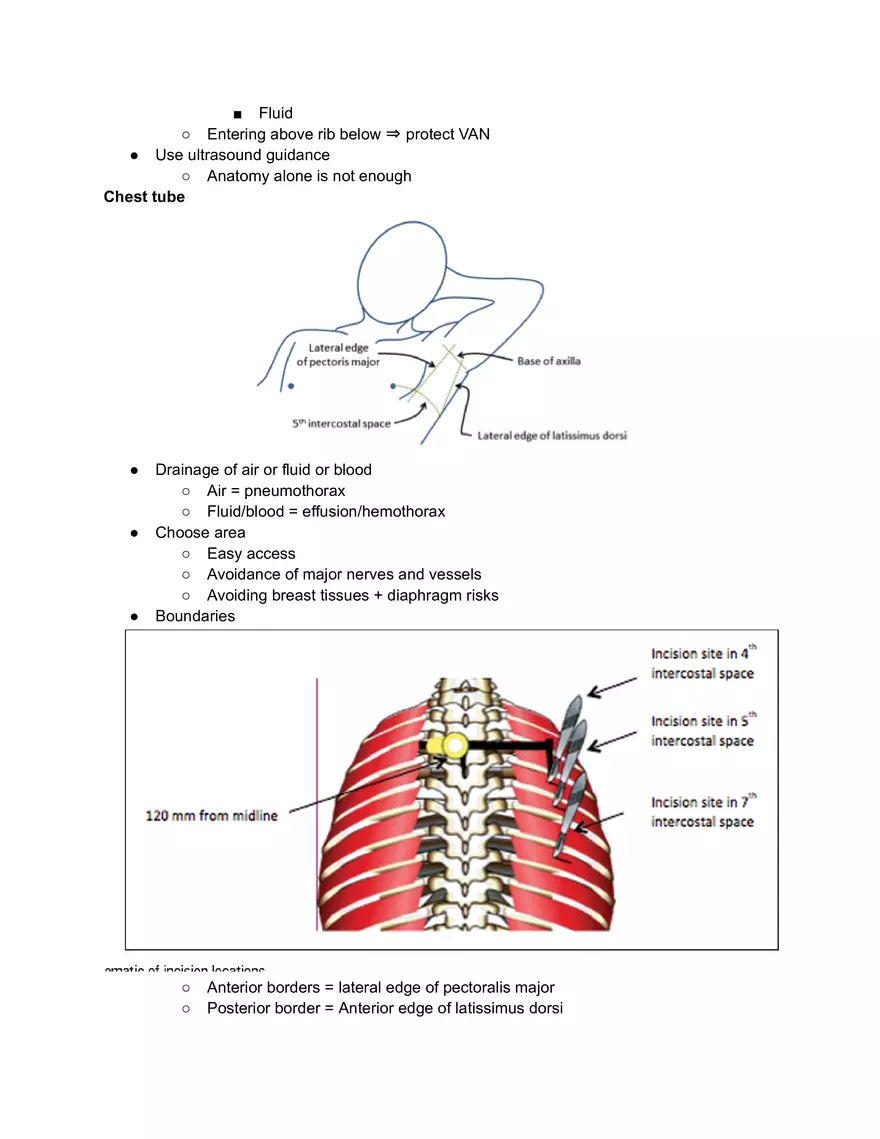 Pleural Procedure Anatomy - Page 10