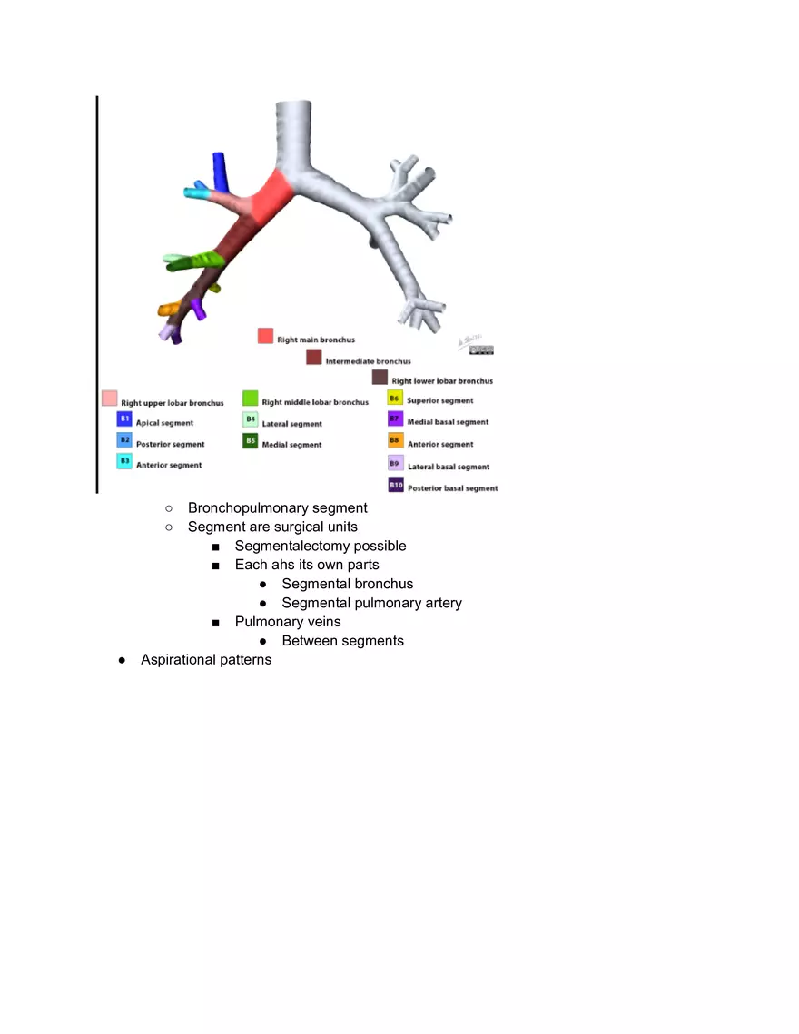 Pleural Procedure Anatomy - Page 2
