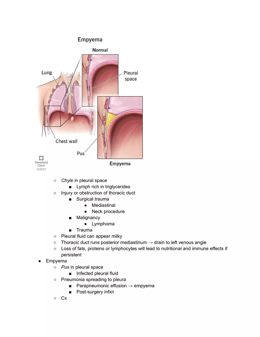 Pleural Procedure Anatomy - Page 3